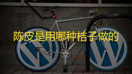 暗区突围辅助网陈皮是用哪种桔子做的